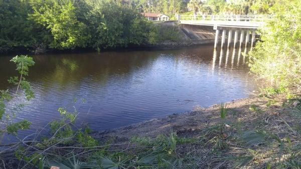 This waterfront corner lot had 90 feet of waterfront access, but no one could tell due to the terrible thick vegetation and s...