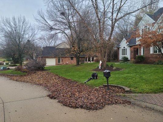 We do leaf removal and landscape cleanouts.