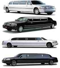 Sally Limo