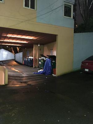 this is how copeland manages the elektra condominiums: NO SECURITY so homeless dig through open dumpsters.