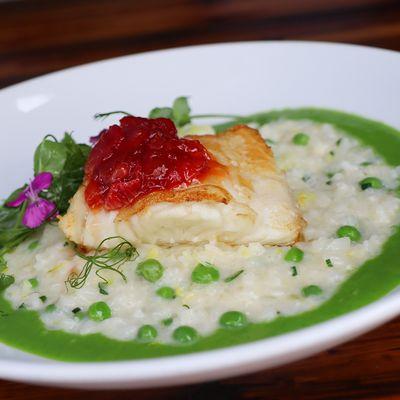 Pan Roasted Seabass with Meyer lemon-English pea risotto and blood orange confit