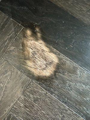 Color came off entirely after cleaning an area rug that was on top of the wood floor.