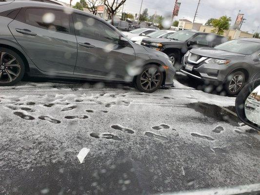 Wow - sleet in the parking lot!