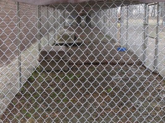 outdoor kennels, red brick patio was added after this picture was taken.