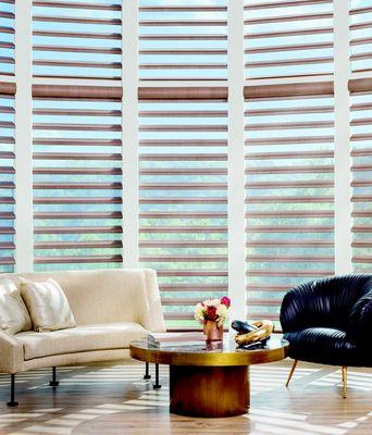 Hunter Douglas Pirouette Window Shadings