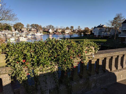 Pawtuxet cove from the village bridge