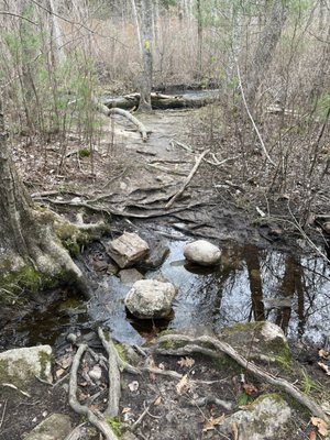 Black Farm Wildlife Management Area