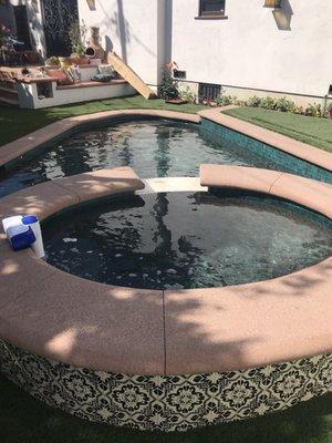 Small yard with designed small pool with raised spa fits in yard beautifully and very functional