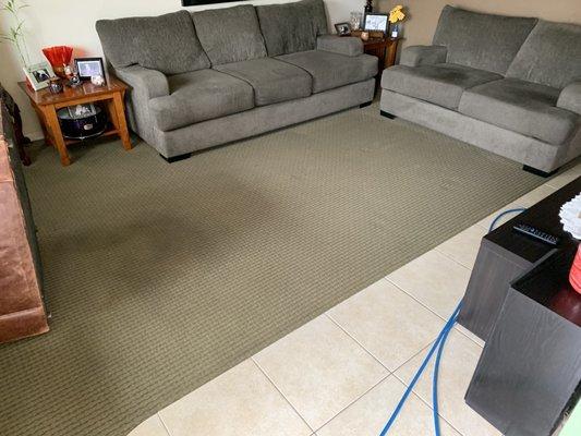 The carpet is about to get cleaned!