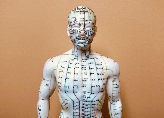 This guy loves his acupuncture. You will too!