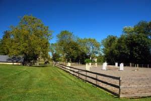 Jessica Forliano, Inc. - Professional Horse Training