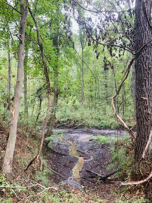 "Green Creek" seems to be drying up from construction on GA144.