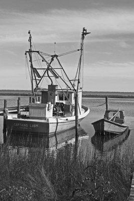 Florida's Forgotten Coast