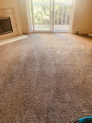 Carpet cleaning