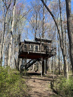 The trees house I stayed in