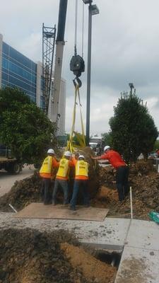 Our team on an award winning landscape installation project for Bay Area Regional Hospital