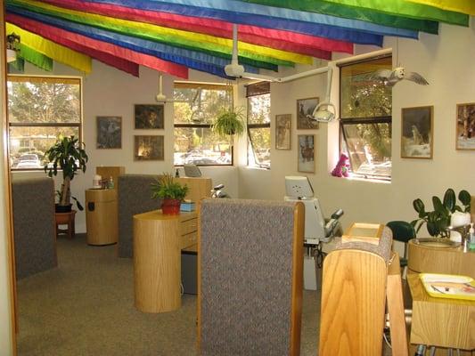 Cute rainbow flags & very open office