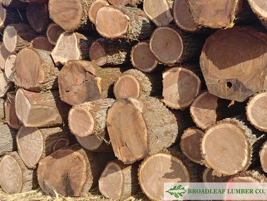 Broadleaf Lumber