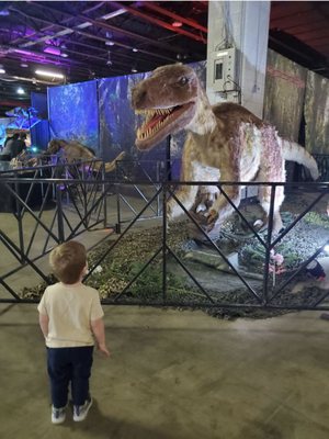 The dinosaur exhibits are cool for young kids.