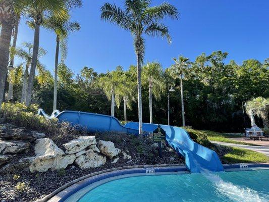 Pool Slide, Tampa Palms Estates, New Tampa