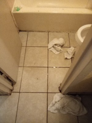 toilets leaking and towels in the water are towels that were dirty looks like they weren't even washed from the previous person