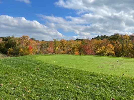 The colors are really starting to come through here in mid- October.