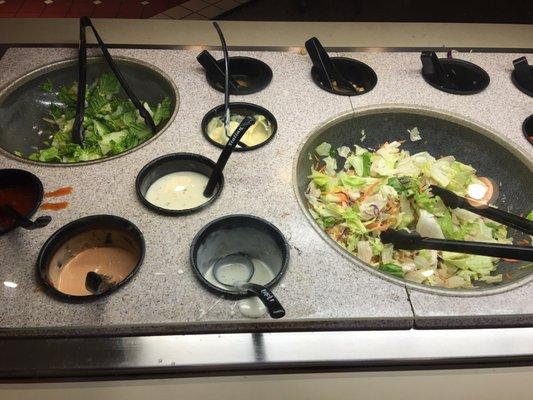 Salad bar looks old & nasty. Collecting flies!