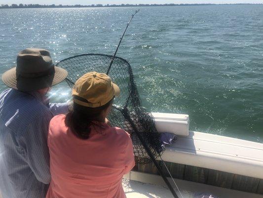 Landing another on Lake St Clair