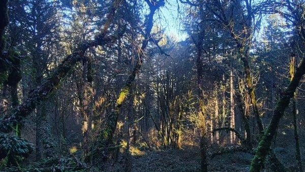 Ridgeline trail views!