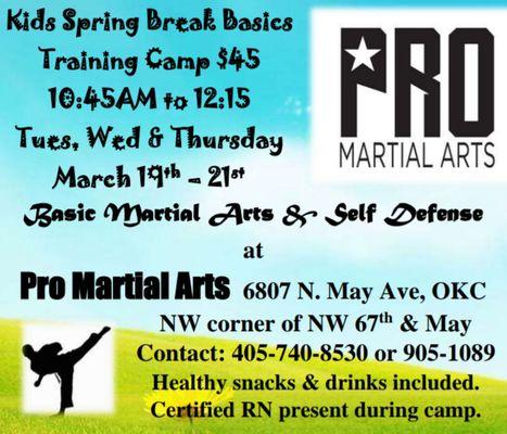 Spring Break Basics
Basic Martial Arts & Self Defense.