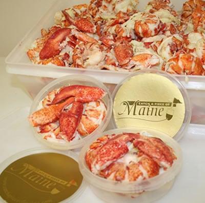 Fresh picked Maine lobster meat