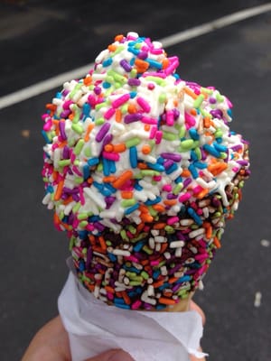 Vanilla soft serve with rainbow sprinkles!