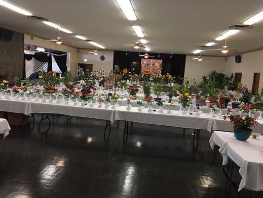 Riverside Community Flower Show 2017