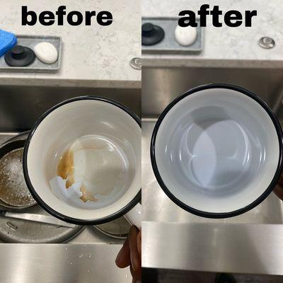 Thoroughly cleaned kitchen sink and dishes.