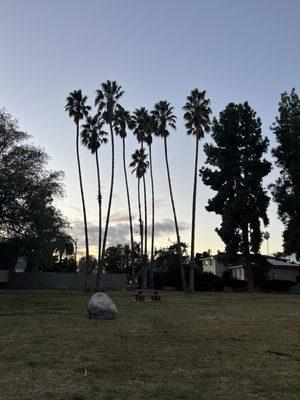 View of the park