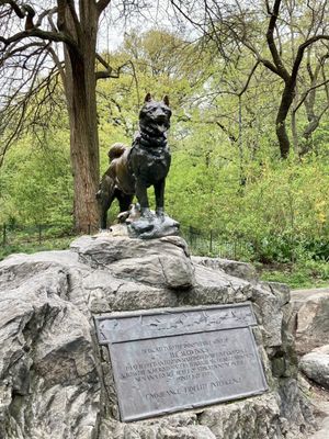 Balto photo taken 04/27/21