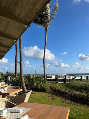 Meal with a view from  MARISOL restaurant beachside!