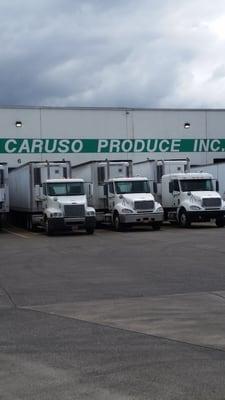 Caruso Produce