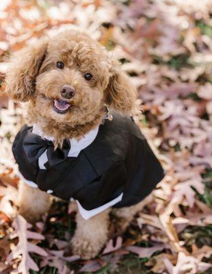 Lego at our engagement photo shoot. Marshall did an amazing job getting the exact cut we wanted for this special moment.