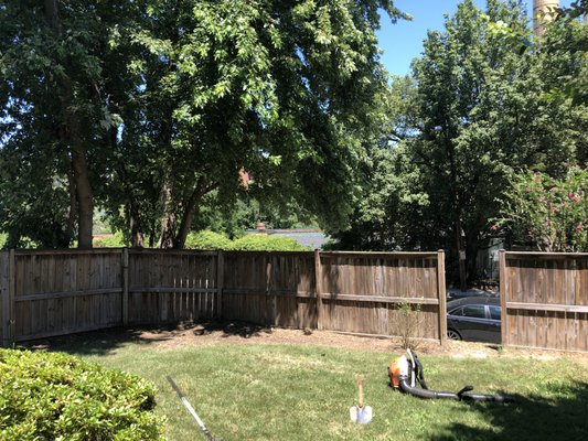 Tree pruning, facilitating the homeowners mowing chore!