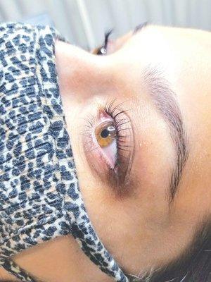 Lash Lift