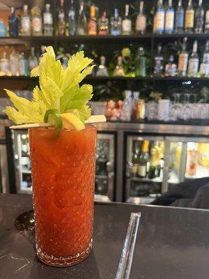 Spicy Bloody Mary. Average overall, but nicely presented