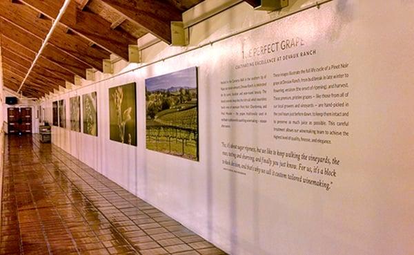 Mumm Champagne Cellars Tour Wall