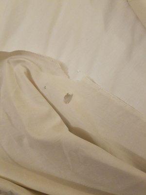 See bed sheet look like a mouse gnawed through it