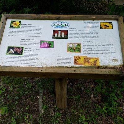 pollinator field on the east side of the trail loop