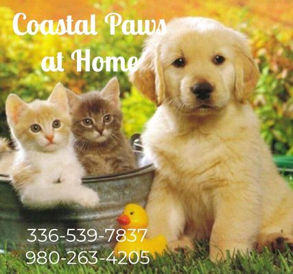 Coastal Paws at Home