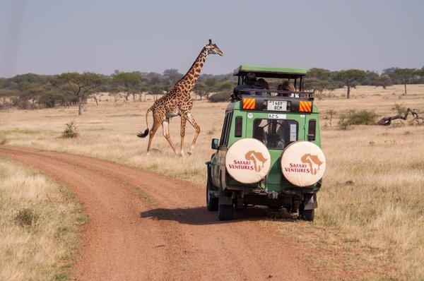 Serengeti National Park