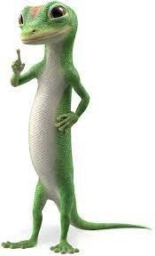 Geico