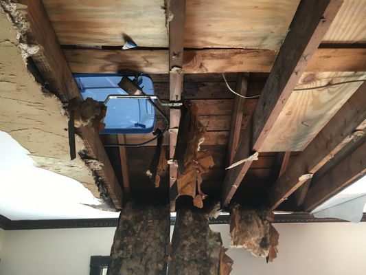 A tree hit the house and flooded it due to a storm. Our professional cleanup crew came in, tarped the roof and cleaned up all the water.