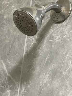 Mildewed shower head